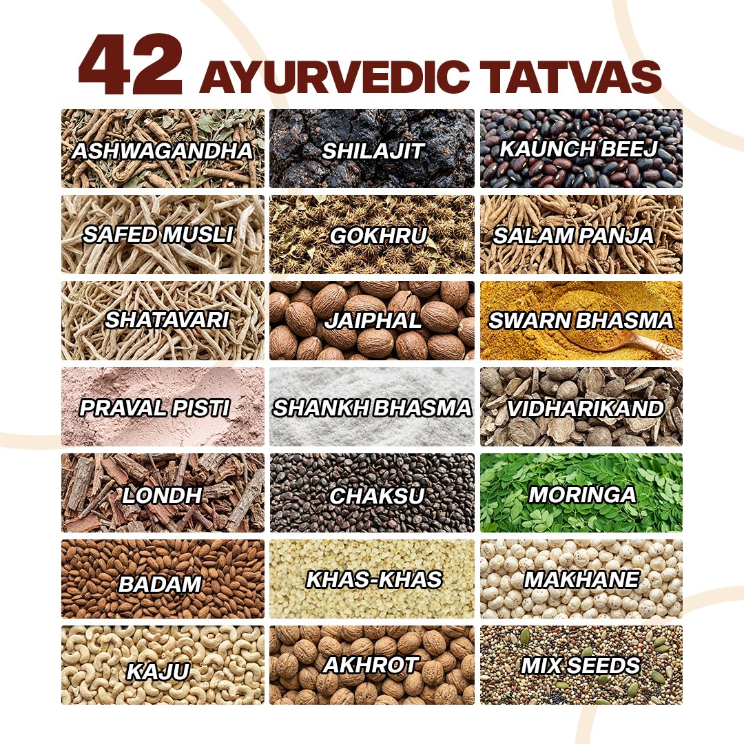 6.-Ingredients-B_-1