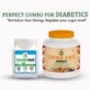 Rasayan Amrit Sugar-Free + Diabonib | Ayurvedic Diabetes & Energy Combo