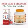 Arthranib Joint Care Oil & Rasayan Amrit Combo Pack