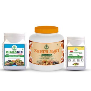 Rasayan Amrit Sugar-Free + Diabonib + Constipation Relief Powder (Combo Pack of 3)