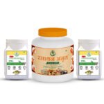 Rasayan Amrit Sugar-Free + 2x Constipation Relief Powder (Combo Pack of 3)