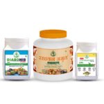 Rasayan Amrit Sugar-Free + Diabonib + Constipation Relief Powder (Combo Pack of 3)